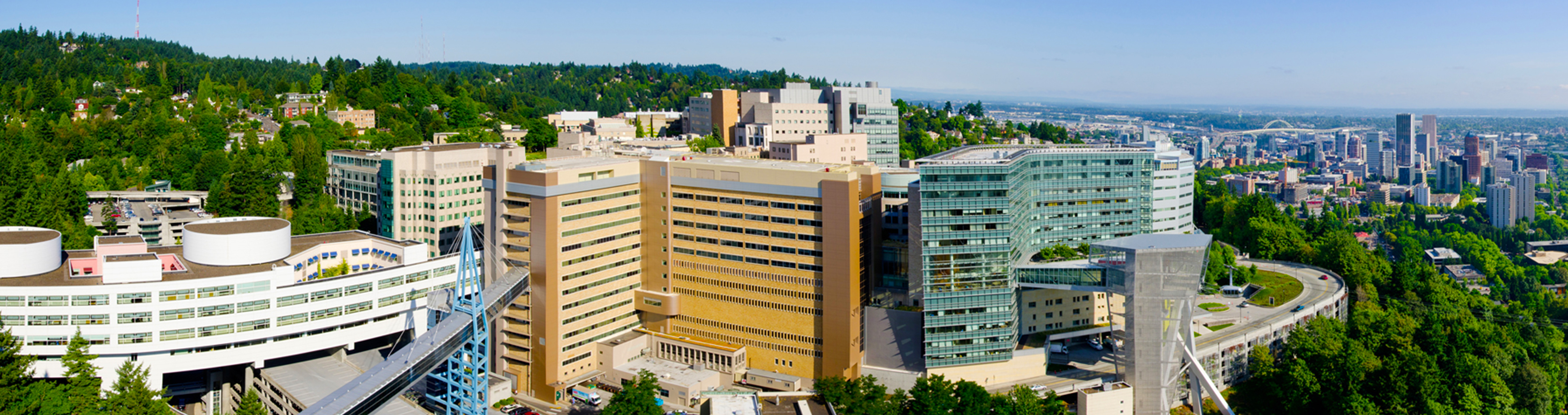 About Portland Arthritis and Rheumatology OHSU